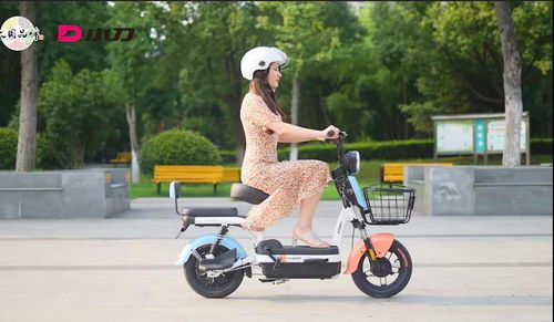 超标电动车退场，绿色出行新选择 哪些电动车值得换购？