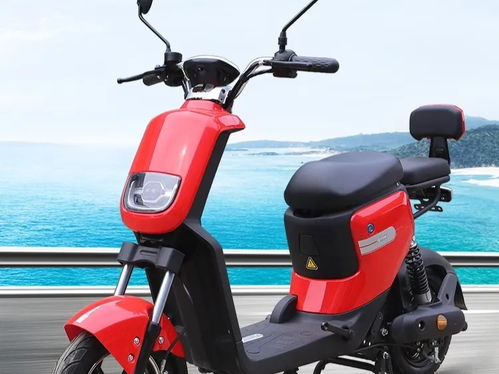 电动车行业权威资讯 洞察发展趋势，把握市场脉搏